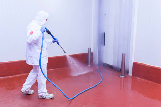 Best Roof Washing  in Hawkinsville, GA